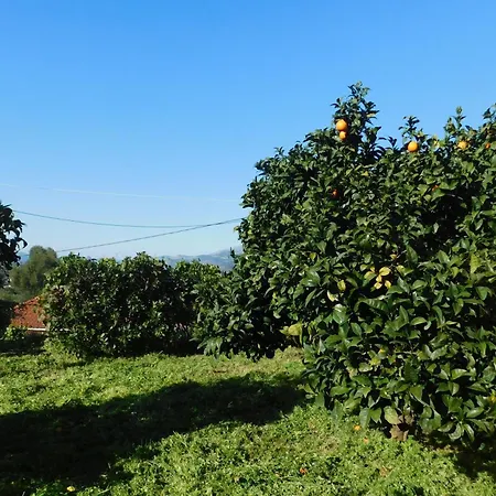 Adonino Residence-the House Of Pomegranates Vakantiehuis Lakíthra