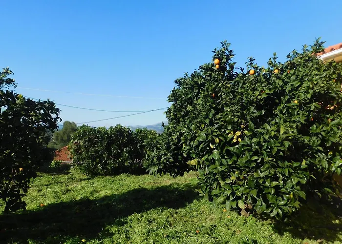 Adonino Residence-the House Of Pomegranates Дом отдыха Lakithra